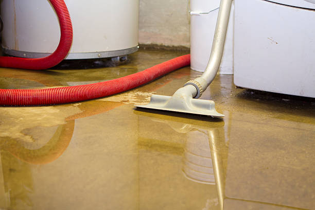 Best Local water damage restoration  in Newk, AR