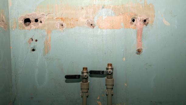 Best Local water damage restoration  in Newk, AR