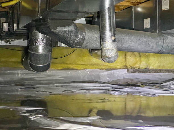 Best Water damage contractors near me  in Newk, AR