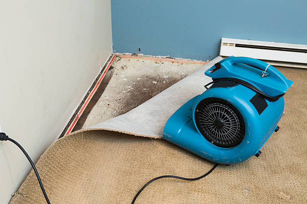 Newk, AR Water damage restoration Pros